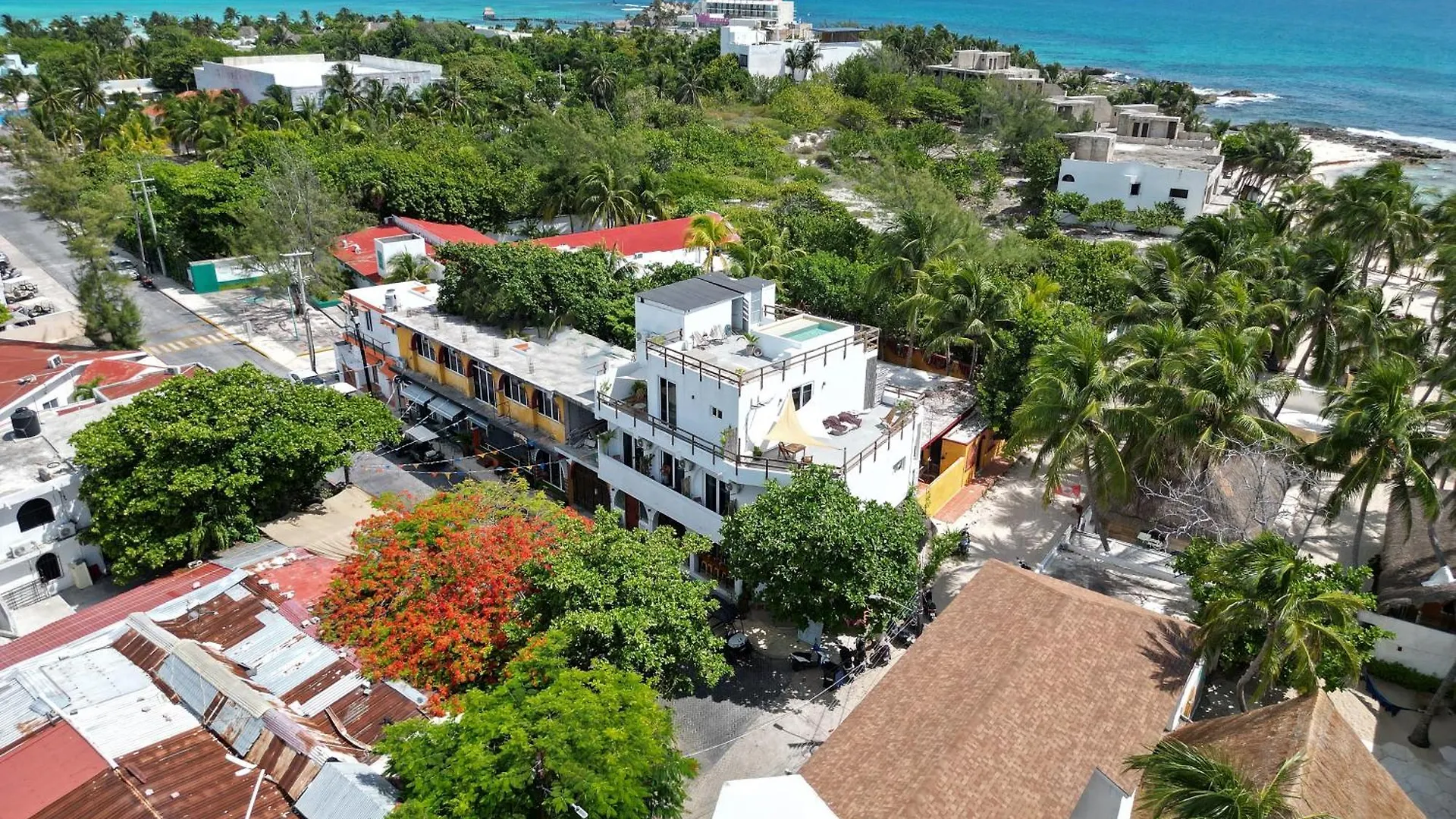 Casa Alkimia Town Hotel Isla Mujeres 0*,  Mexico
